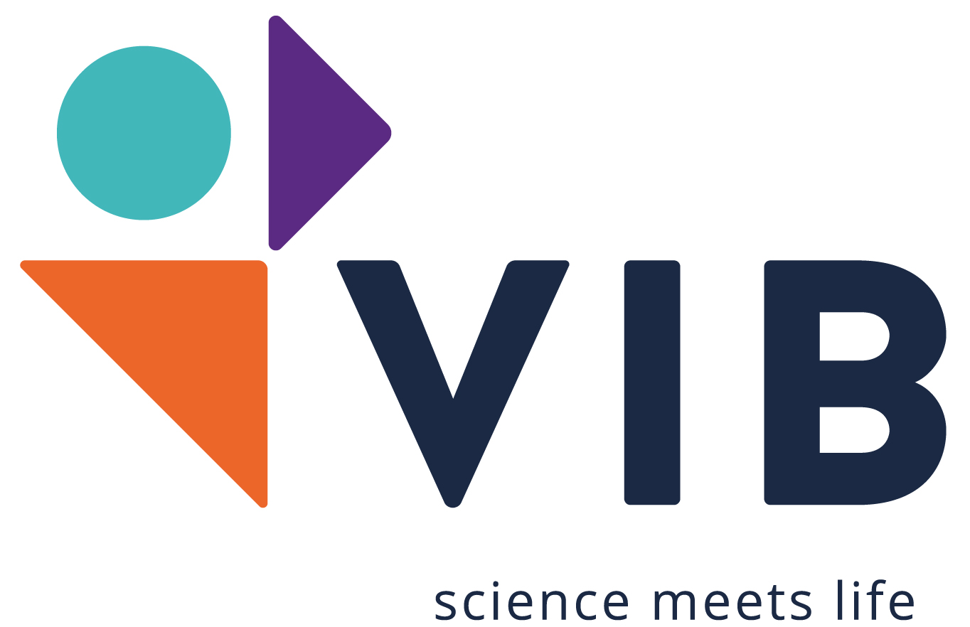 logo vib