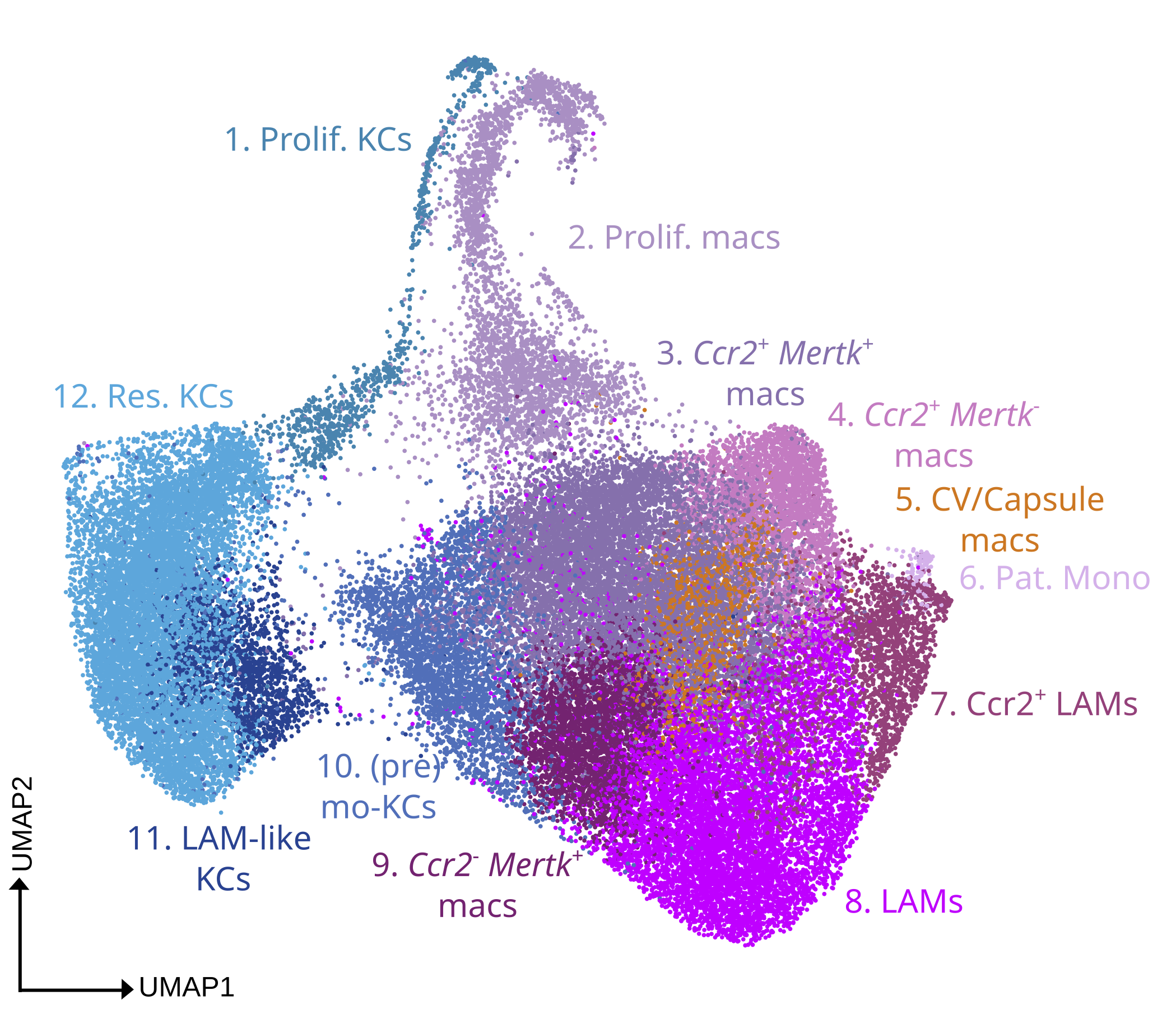 umap Fig. 7B