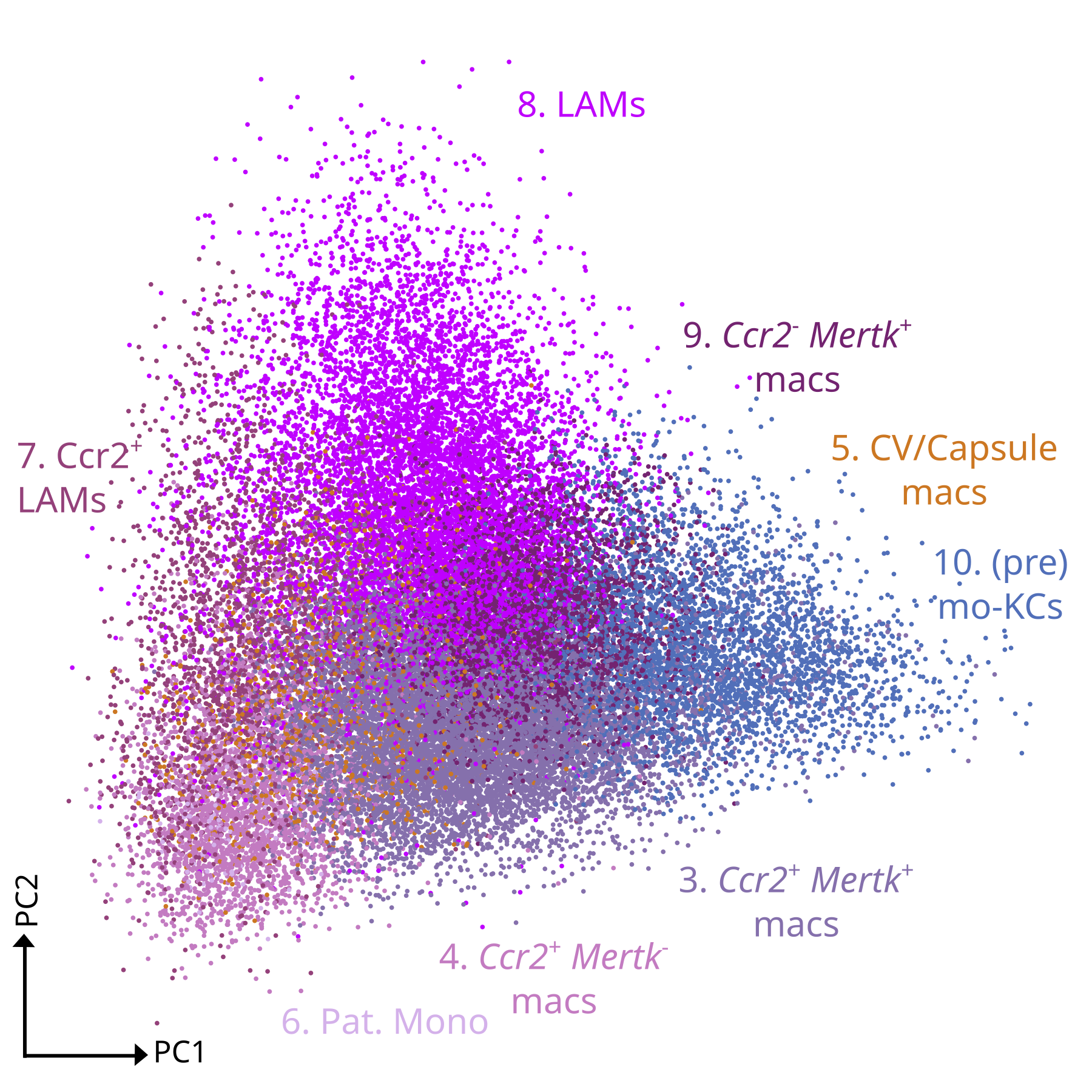 umap Fig. 7F