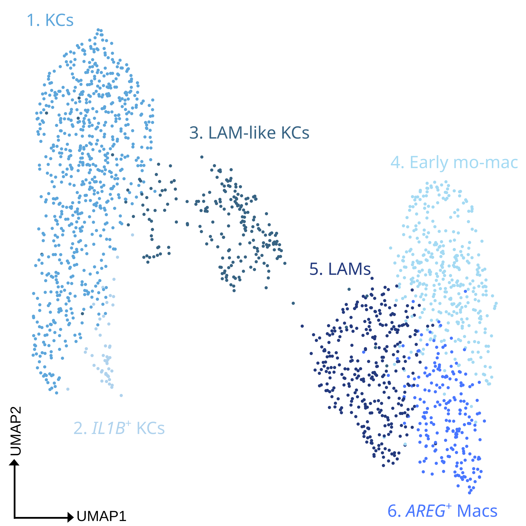 umap Fig. 2I