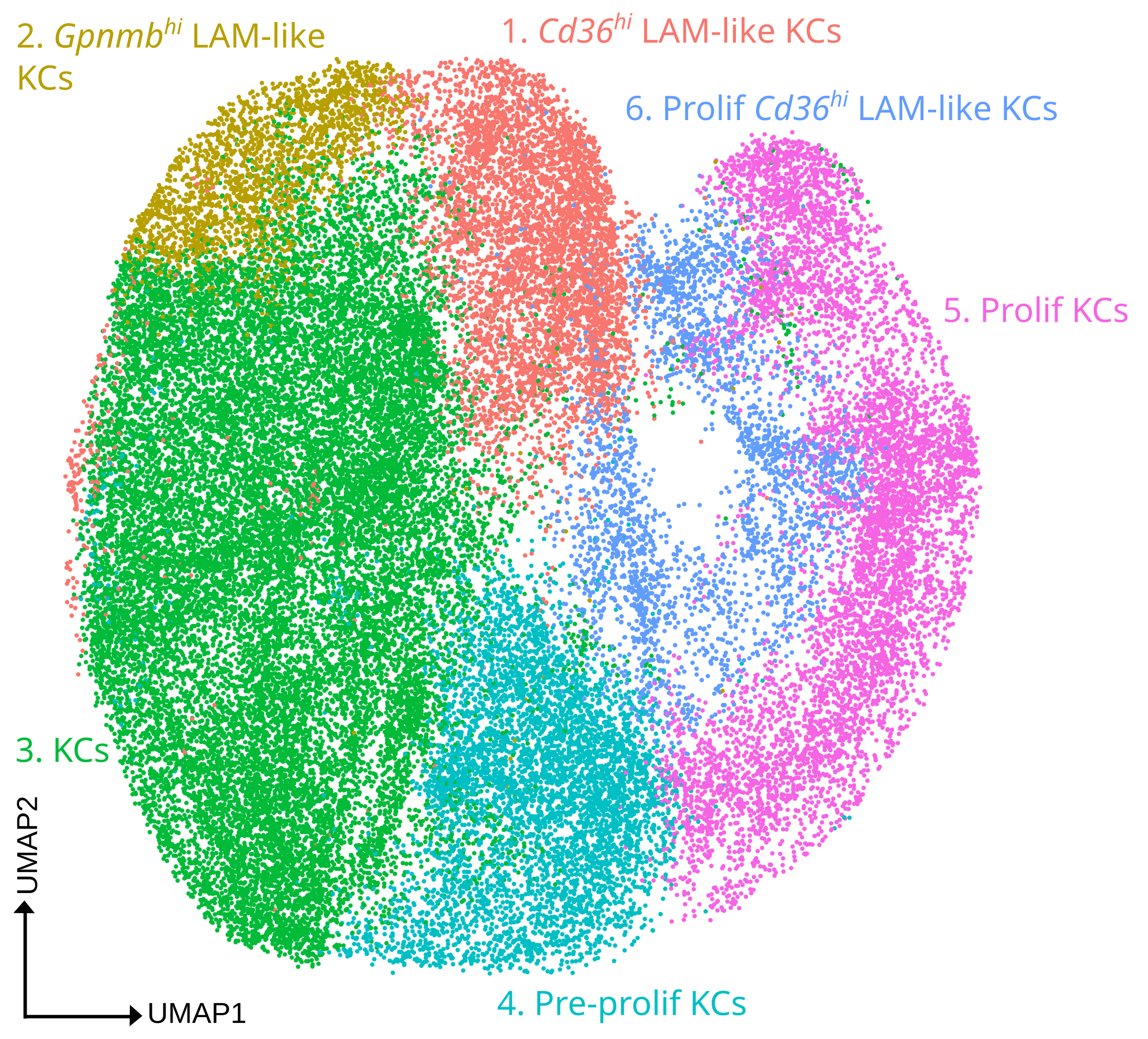 umap Fig. 2D